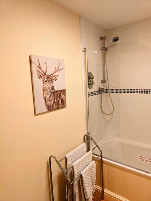 Cosy Central Modern Apartment Нантвіч Екстер'єр фото